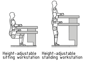 Basic workstation types - height-adjustable and fixed-height sitting/standing workstation