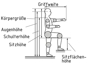 Wichtige anthropometrische Körpermaße