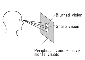 Visual field