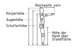 Körpermaße
