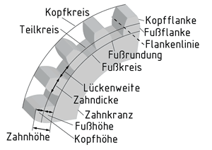 Zahnrad mit Evolventen-Verzahnung
