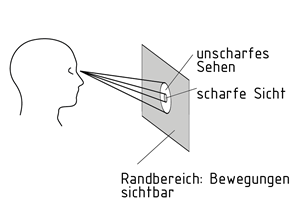 Gesichtsfeld
